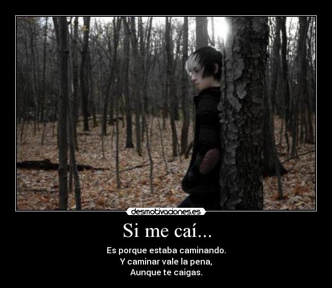 Si me caí... - Es porque estaba caminando.
Y caminar vale la pena,
Aunque te caigas.
