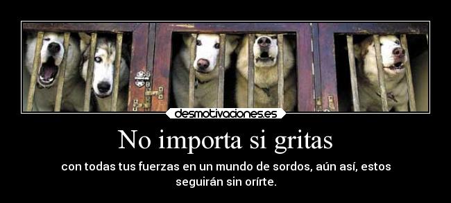 No importa si gritas -