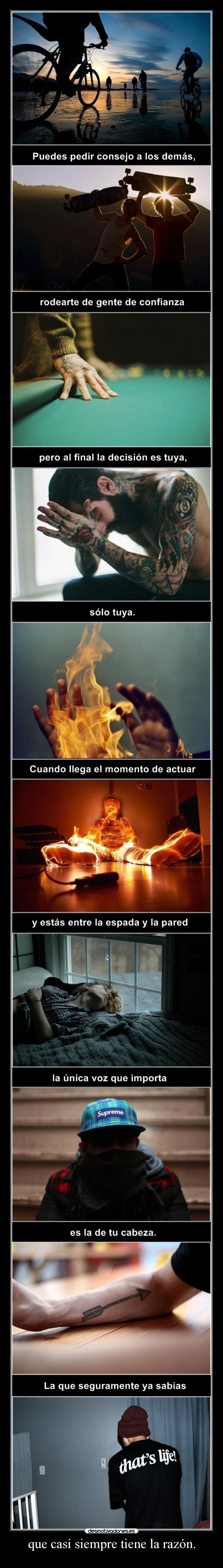 que casi siempre tiene la razón. -