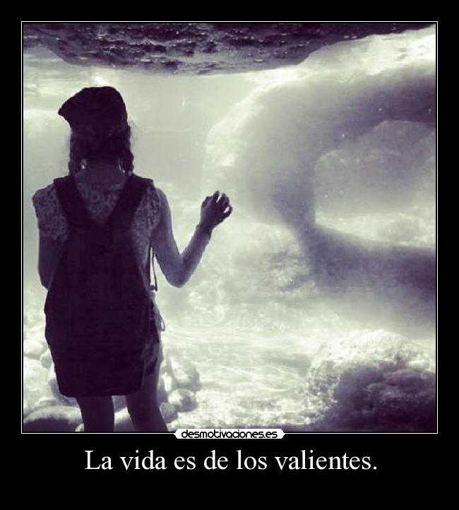 La vida es de los valientes. - 