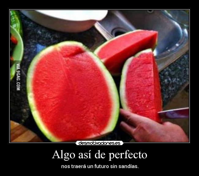 Algo así de perfecto - 