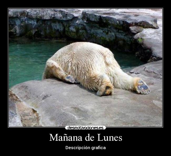Mañana de Lunes - 