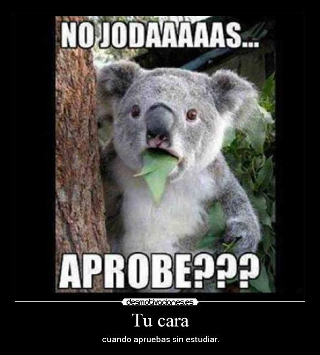Tu cara - cuando apruebas sin estudiar.