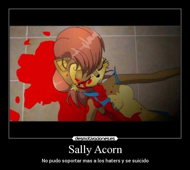 Sally Acorn -