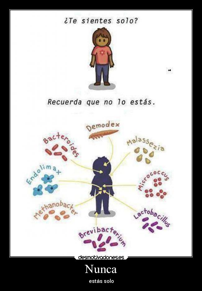 carteles nunca estas solo desmotivaciones imaginacion mundo desmotivaciones