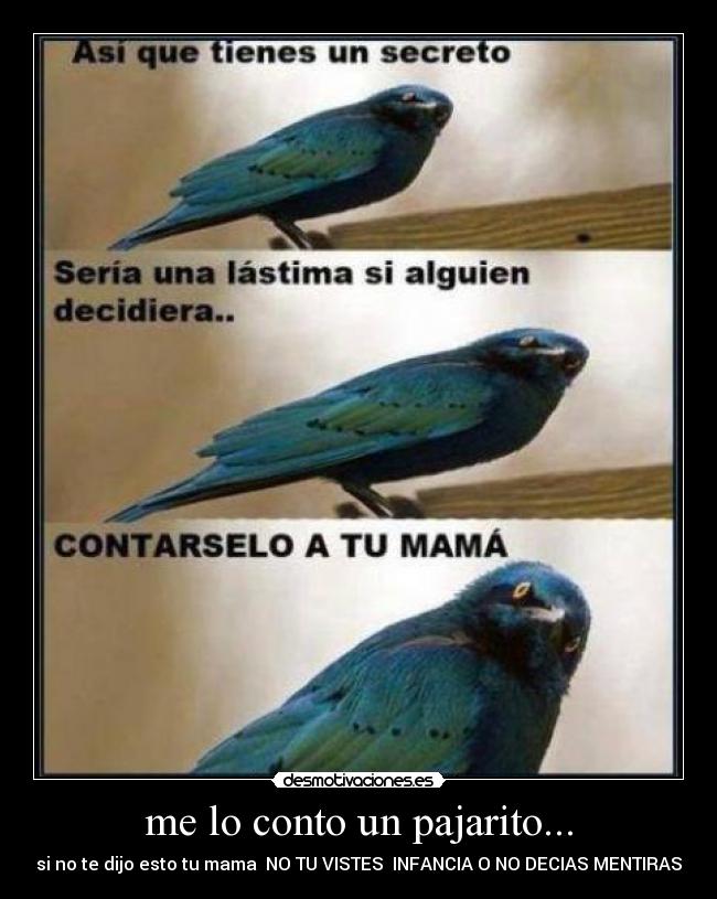 me lo conto un pajarito... - 