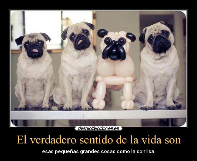 El verdadero sentido de la vida son - esas pequeñas grandes cosas como la sonrisa.