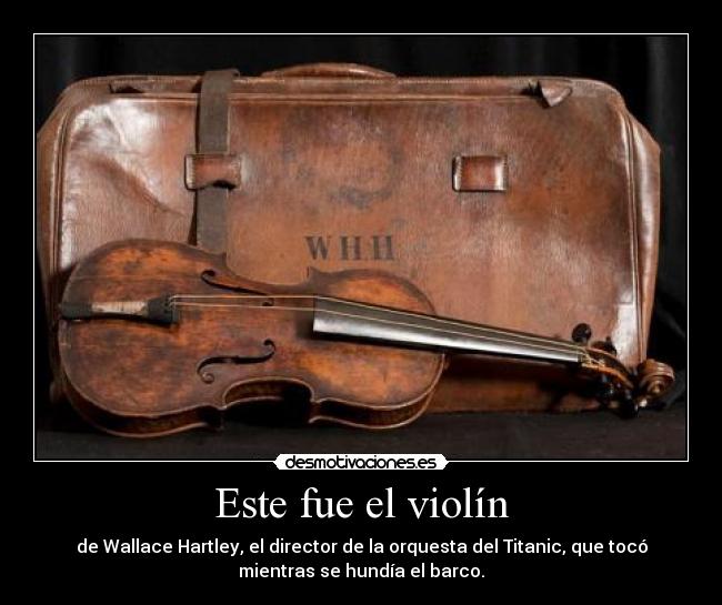 Este fue el violín - 