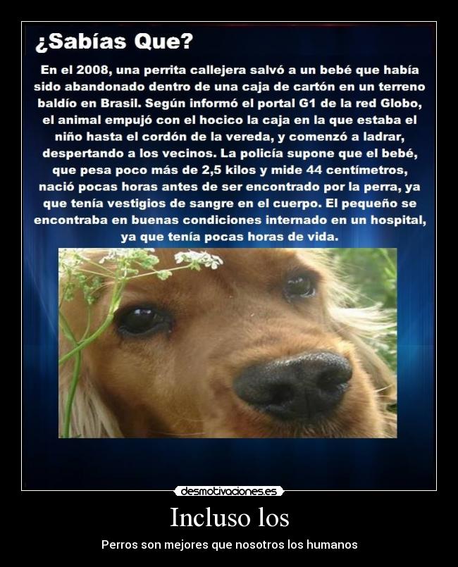 carteles desmotivaciones desmotivaciones