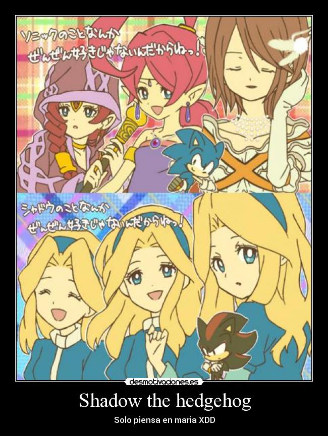 Shadow the hedgehog -