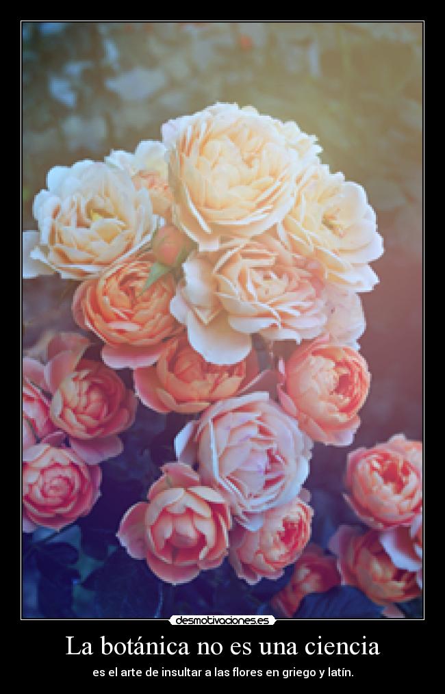La botánica no es una ciencia - 