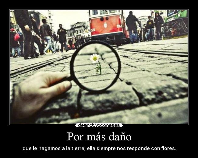 Por más daño - que le hagamos a la tierra, ella siempre nos responde con flores.