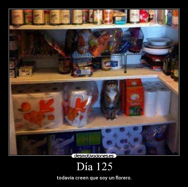 Día 125 - 