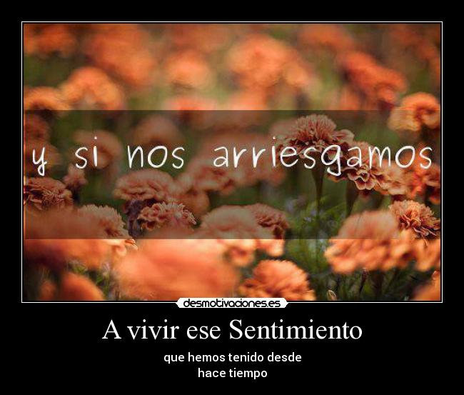 A vivir ese Sentimiento - que hemos tenido desde
hace tiempo