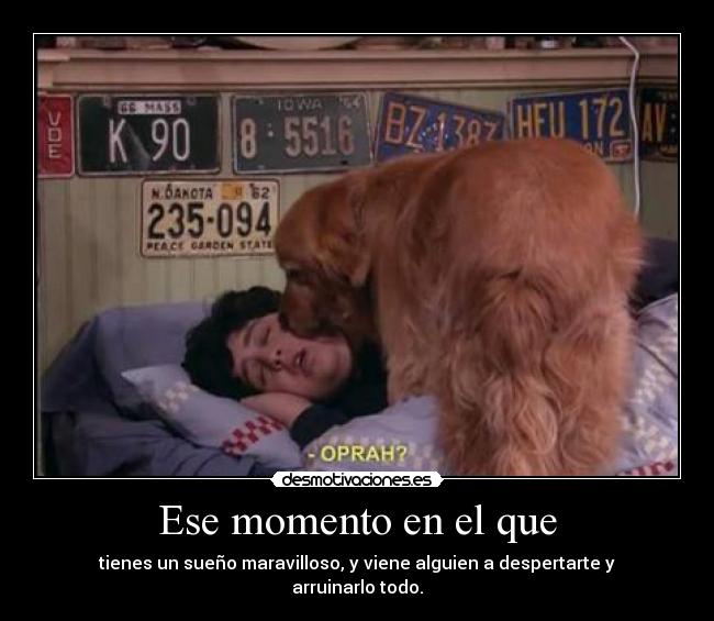 Ese momento en el que - tienes un sueño maravilloso, y viene alguien a despertarte y arruinarlo todo.