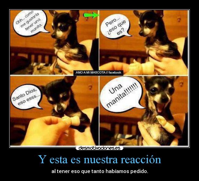 Y esta es nuestra reacción -