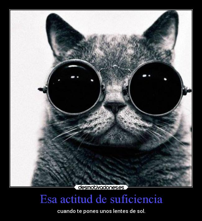 Esa actitud de suficiencia -