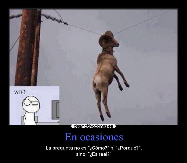 En ocasiones - La pregunta no es ¿Cómo? ni ¿Porqué?,
sino; ¿Es real?