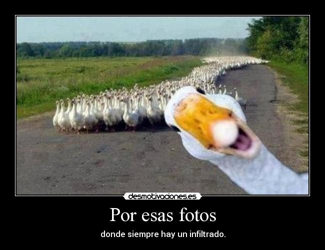 Por esas fotos - 