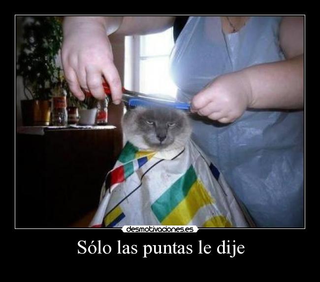Sólo las puntas le dije -