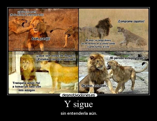 Y sigue - sin entenderla aún.