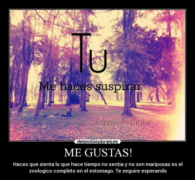 ME GUSTAS! - Haces que sienta lo que hace tiempo no sentia y no son mariposas es el
zoologico completo en el estomago. Te seguire esperando