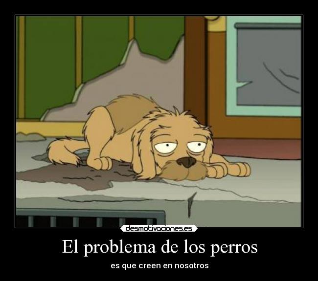 El problema de los perros -