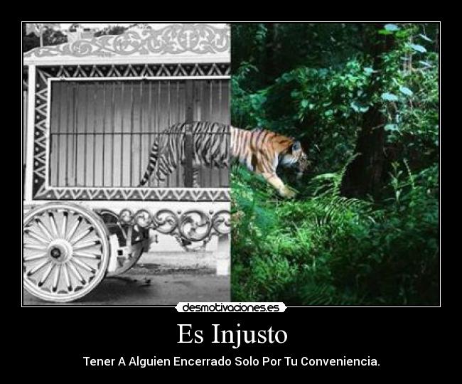 Es Injusto -