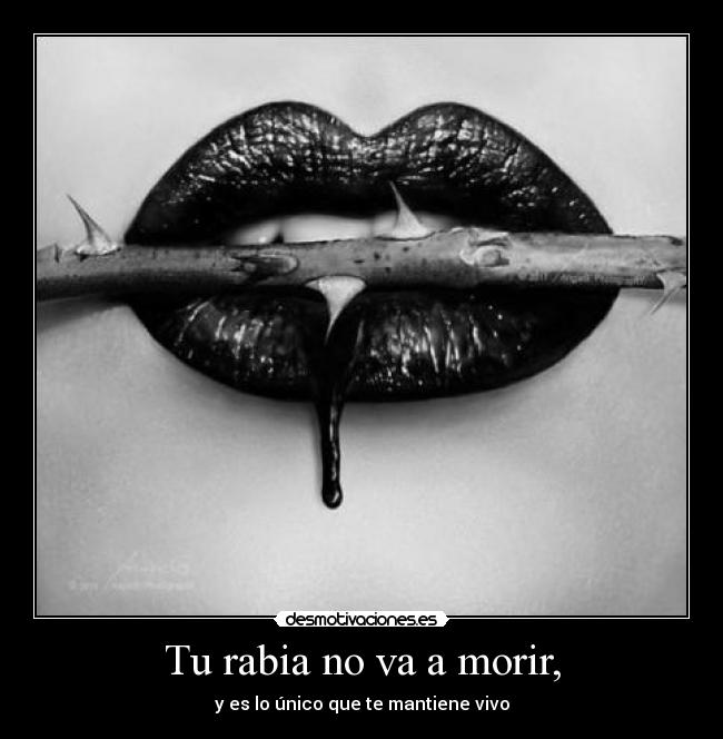 Tu rabia no va a morir, - y es lo único que te mantiene vivo