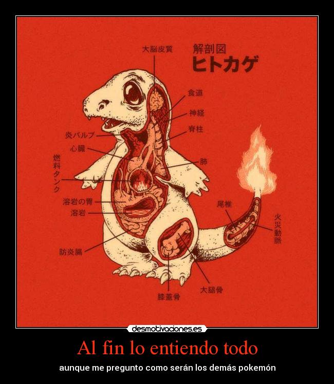 Al fin lo entiendo todo - aunque me pregunto como serán los demás pokemón