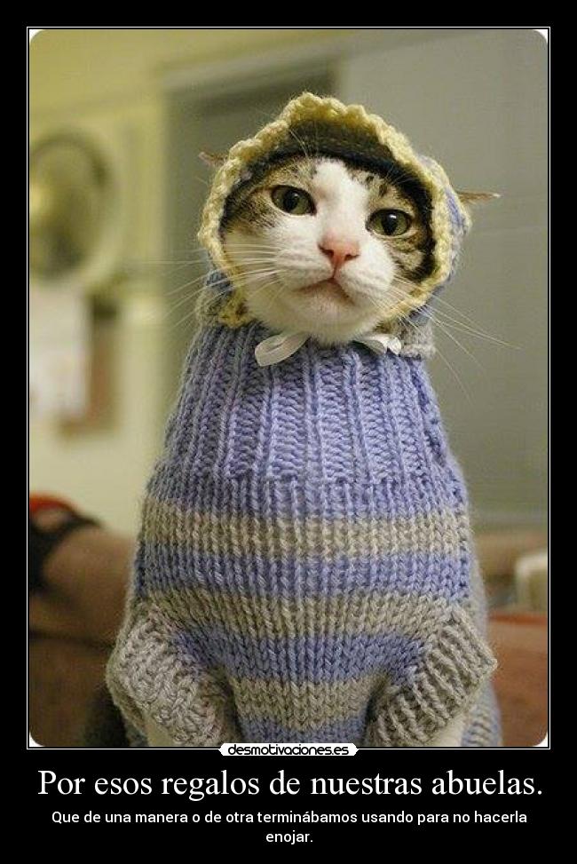 carteles abuelas amor ternura gatitos owww lol desmotivaciones