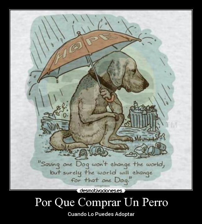 Por Que Comprar Un Perro - 