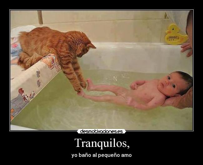Tranquilos, -