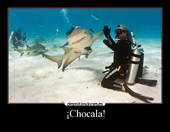 ¡Chocala! -
