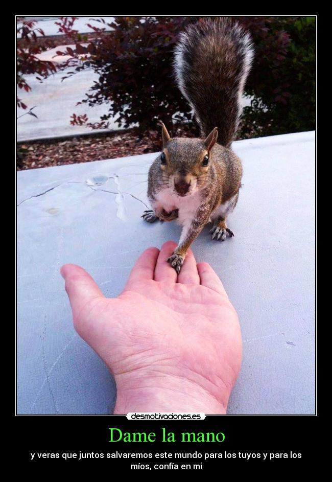 carteles naturaleza desmotivaciones