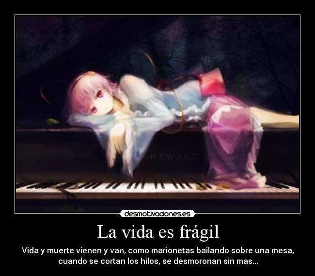 carteles vida vida muerte desmotivaciones