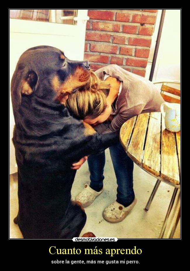 Cuanto más aprendo - sobre la gente, más me gusta mi perro.
