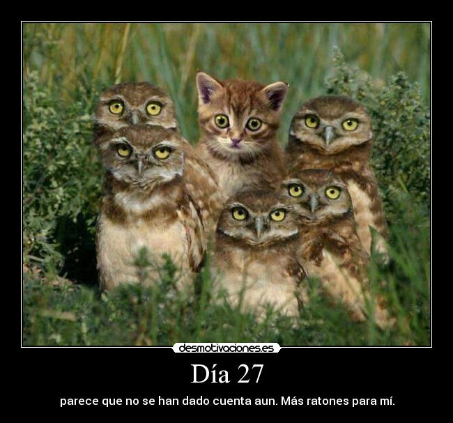 Día 27 -