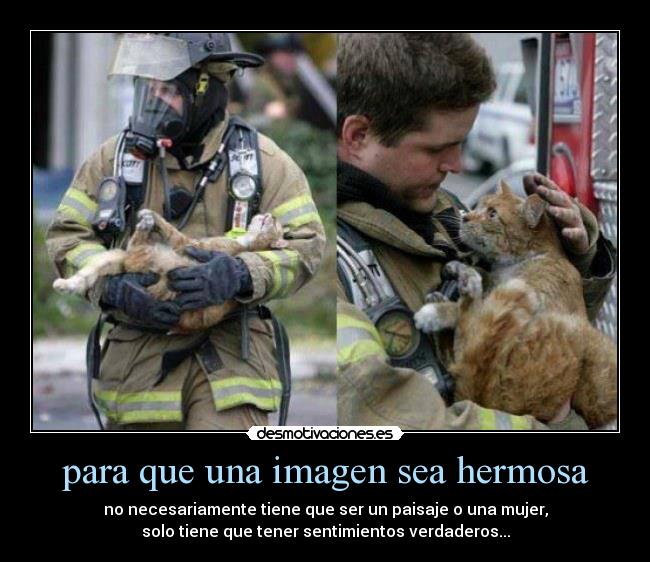 para que una imagen sea hermosa - 