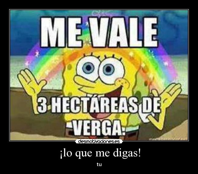 ¡lo que me digas! - 