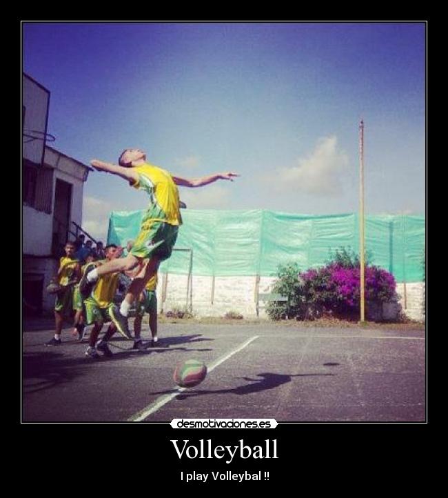 carteles voleibol desmotivaciones