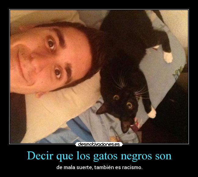 Decir que los gatos negros son - 