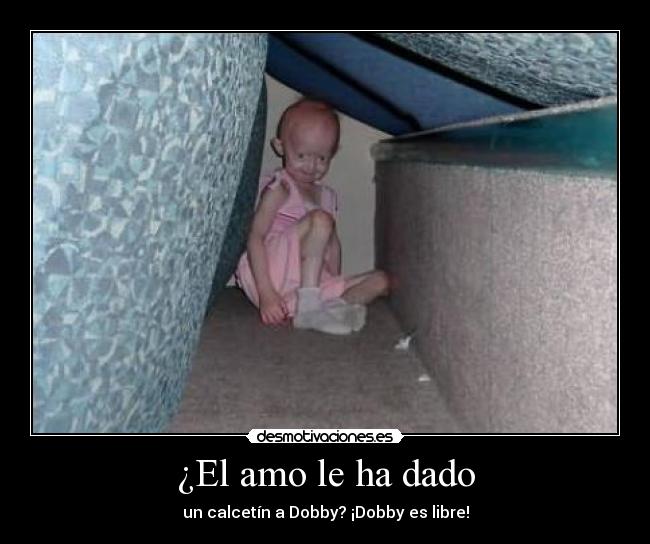 ¿El amo le ha dado - 