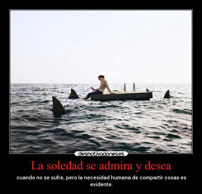 La soledad se admira y desea -