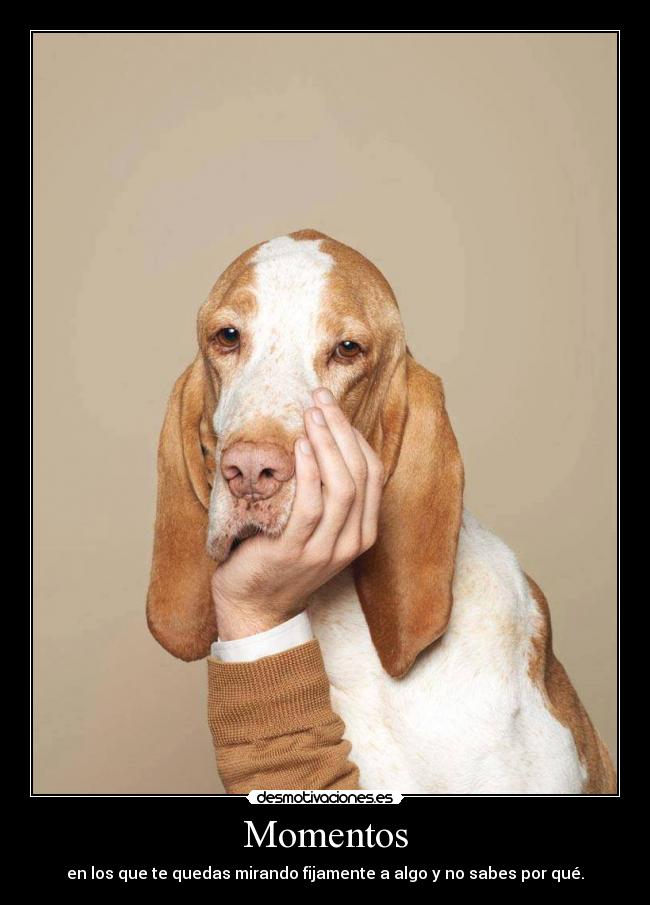 Momentos - en los que te quedas mirando fijamente a algo y no sabes por qué.
