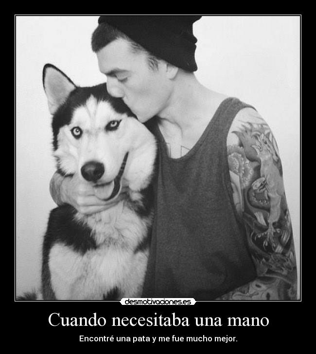 carteles animales amor carino desmotivaciones deseos caricias desmotivaciones