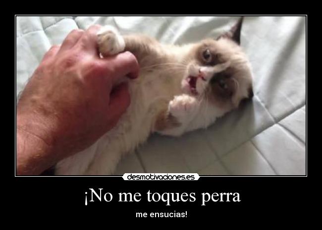 ¡No me toques perra - 
