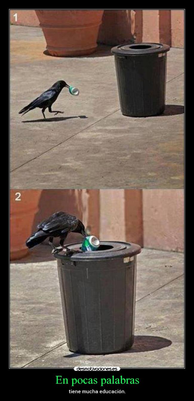 En pocas palabras - tiene mucha educación.