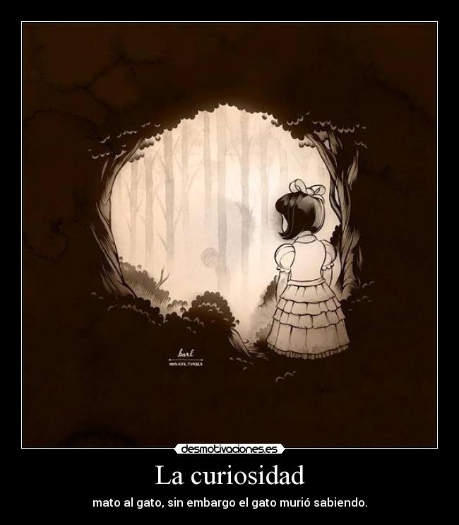 La curiosidad - 