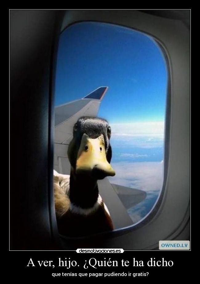 A ver, hijo. ¿Quién te ha dicho - que tenías que pagar pudiendo ir gratis?
